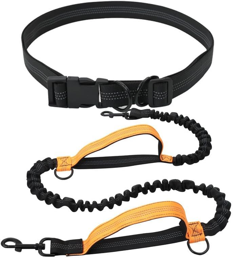 Hands Free Dog Leash, Retractable Dog Leash Running with Dual Bungees for Medium and Large Dogs, Adjustable Waist Belt Stitching Leash for Running Walking Hiking Jogging Biking (Orange)