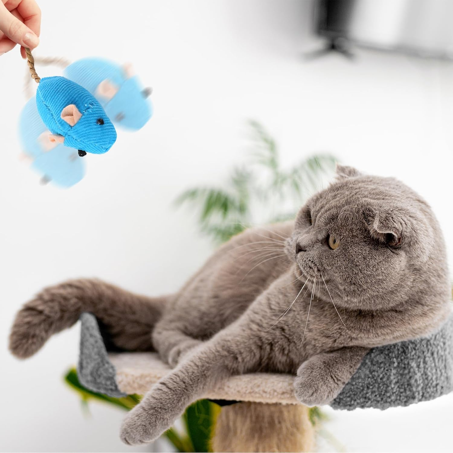 8 Pack Cat Mice Toys Interactive Toy Cats Mouse Plush Cat Toys Catnip Toy Biting Toys for Cats Mouse Shaped Toy for Indoor Cats Realistic Design 8 Color image number 3