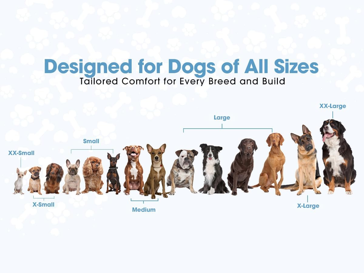 Copatchy No Pull Reflective Adjustable Dog Harness with Handle (Xx-Small, Blue) image number 1