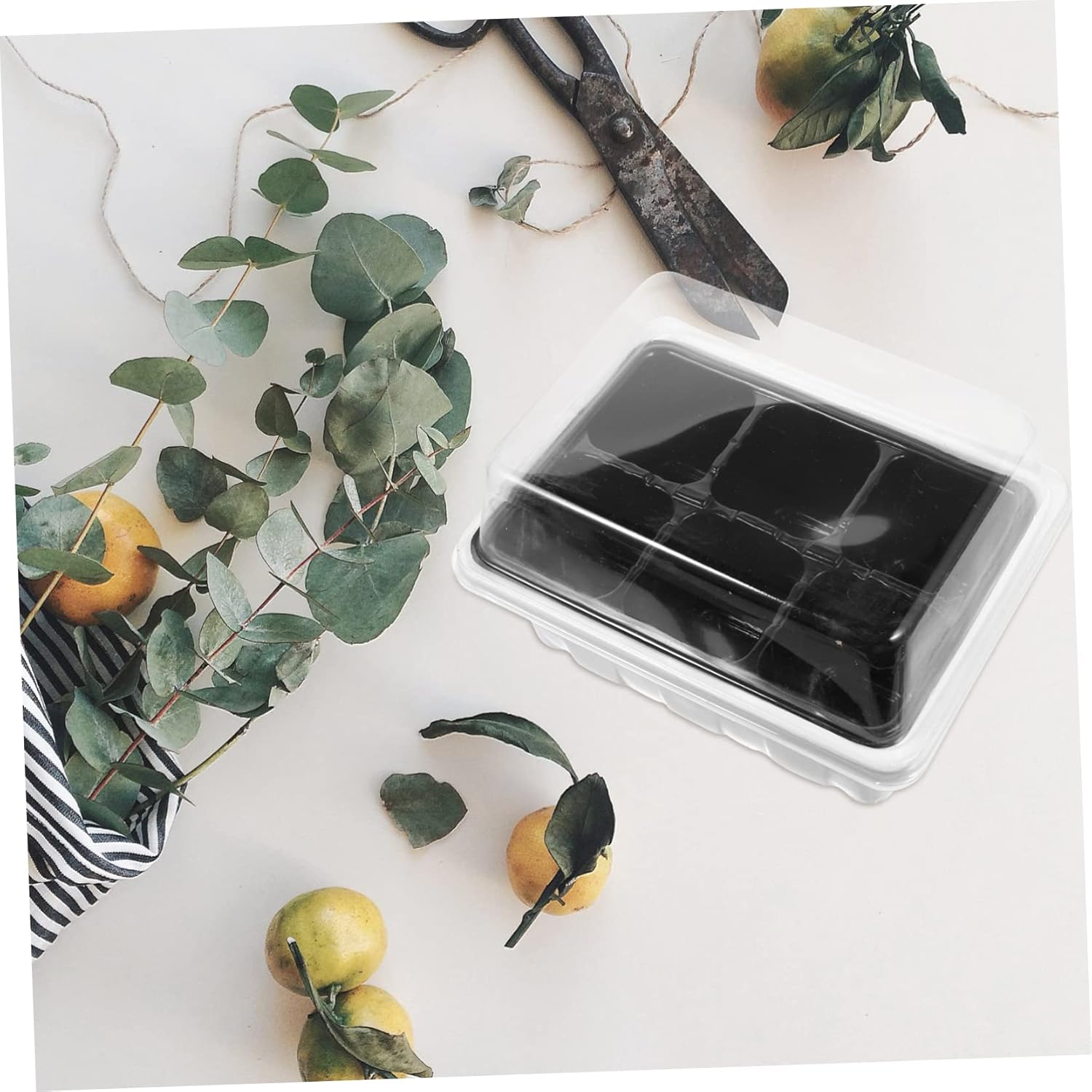 Garden Propagator Set 10 Pack Trays Lid and Bottom Holes for Healthy Plant Growth