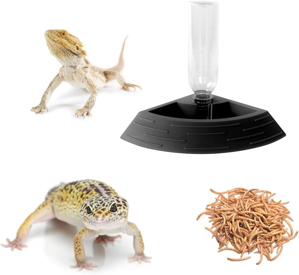Reptile Feeder Bowl,Automatic Reptiles Water Dish Dispenser Feeding Bowls Terrarium Corner Bowl for Bearded Dragon Gecko Snake Lizard Turtles Pet Aquarium Ornament (Titanium Gold) - Titanium Gold image number 5
