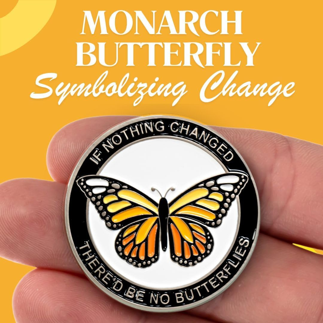 Butterfly Sobriety Coin, Sober Chip, Aa Recovery Medallion, Floating Display Frame image number 5
