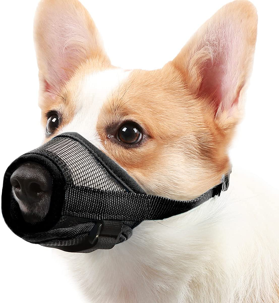 Dog Muzzle, Soft Mesh Covered Muzzles for Small Medium Large Dogs, Poisoned Bait Protection with Adjustable Straps, Prevent Biting Chewing and Licking (XL)