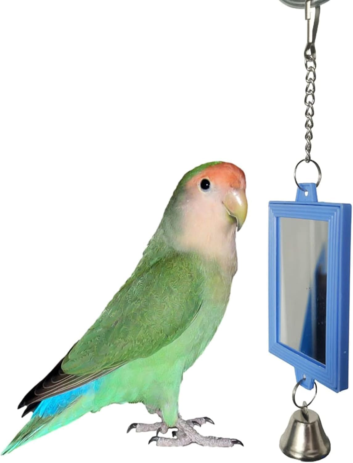 1Pc Random Color Pet Bird Mirror with Bell Interactive Parrot Toys for Budgies Parakeets Conures, Pet Supplies image number 5