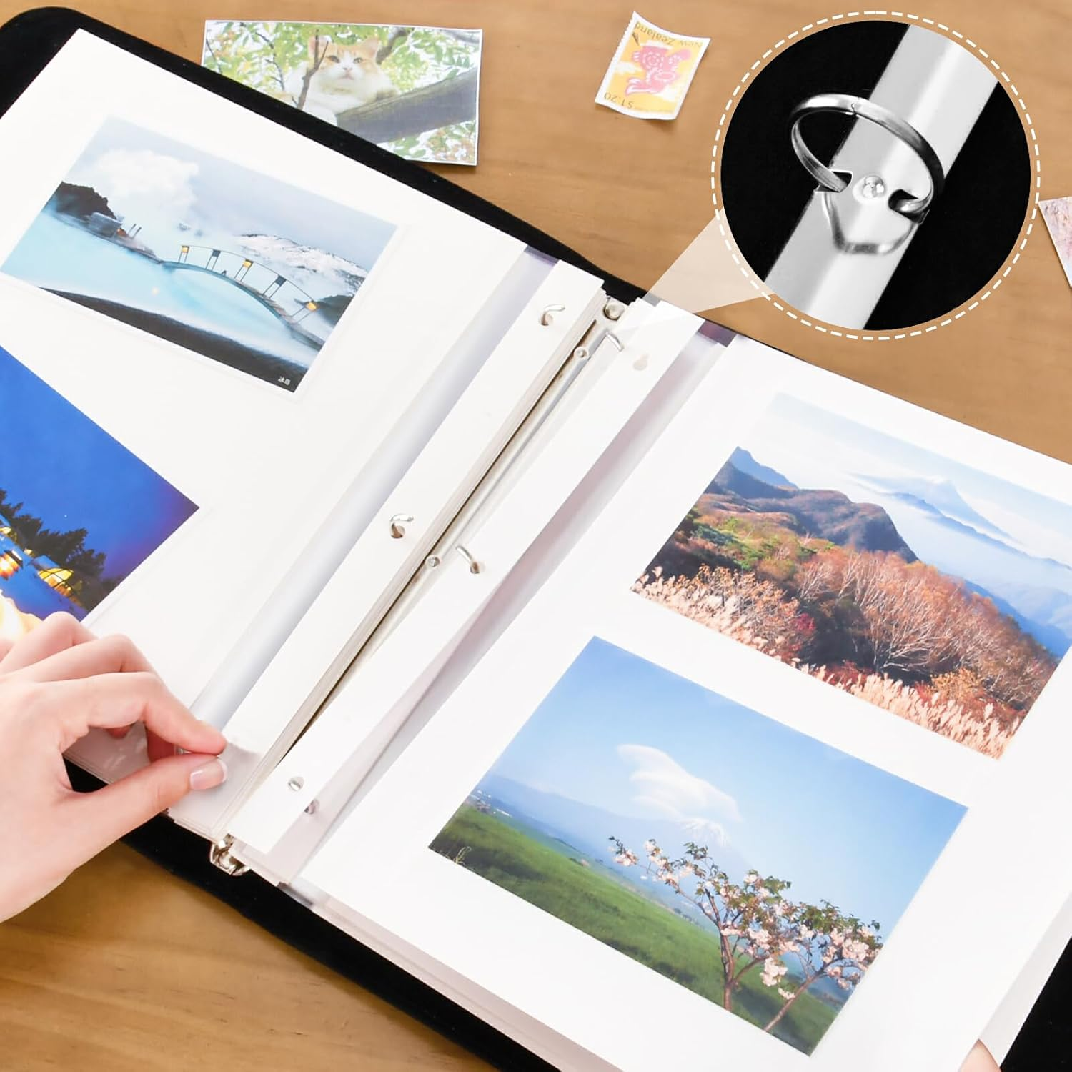 Colorful Mermaid Seahorse Stars Photo Album Picture Book for Photos Self Adhesive Pages Bookshelf Photo Albums Family Albums for Photos 4X6, 6X8