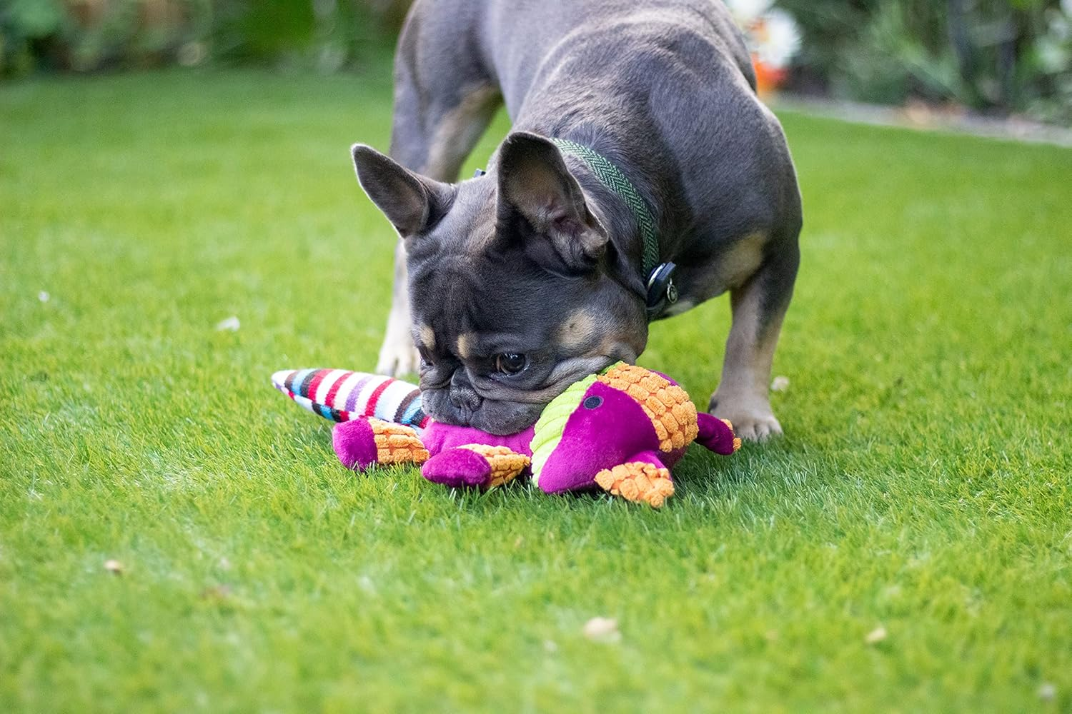 Rosewood 39132 Chubleez Charlie Cat Plush Dog Toy image number 4