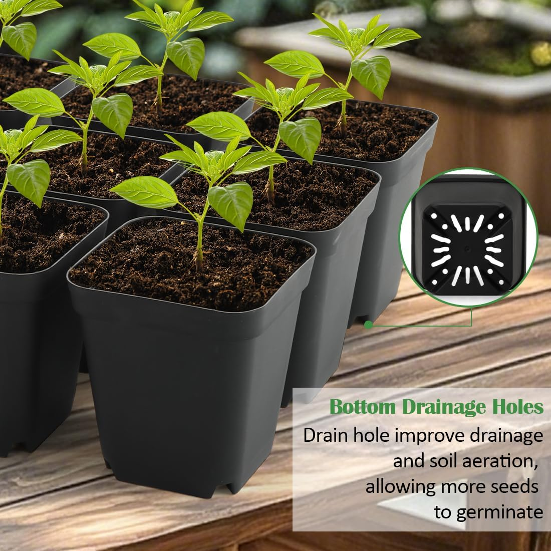 3.15 Inch (8CM) Square Nursery Pots 100 Pcs, Sturdy Seedlings Trays 5 Pcs, Seeds Starter Germination Tray, Microgreening Planter Nursery Propagation 5 Sets image number 5