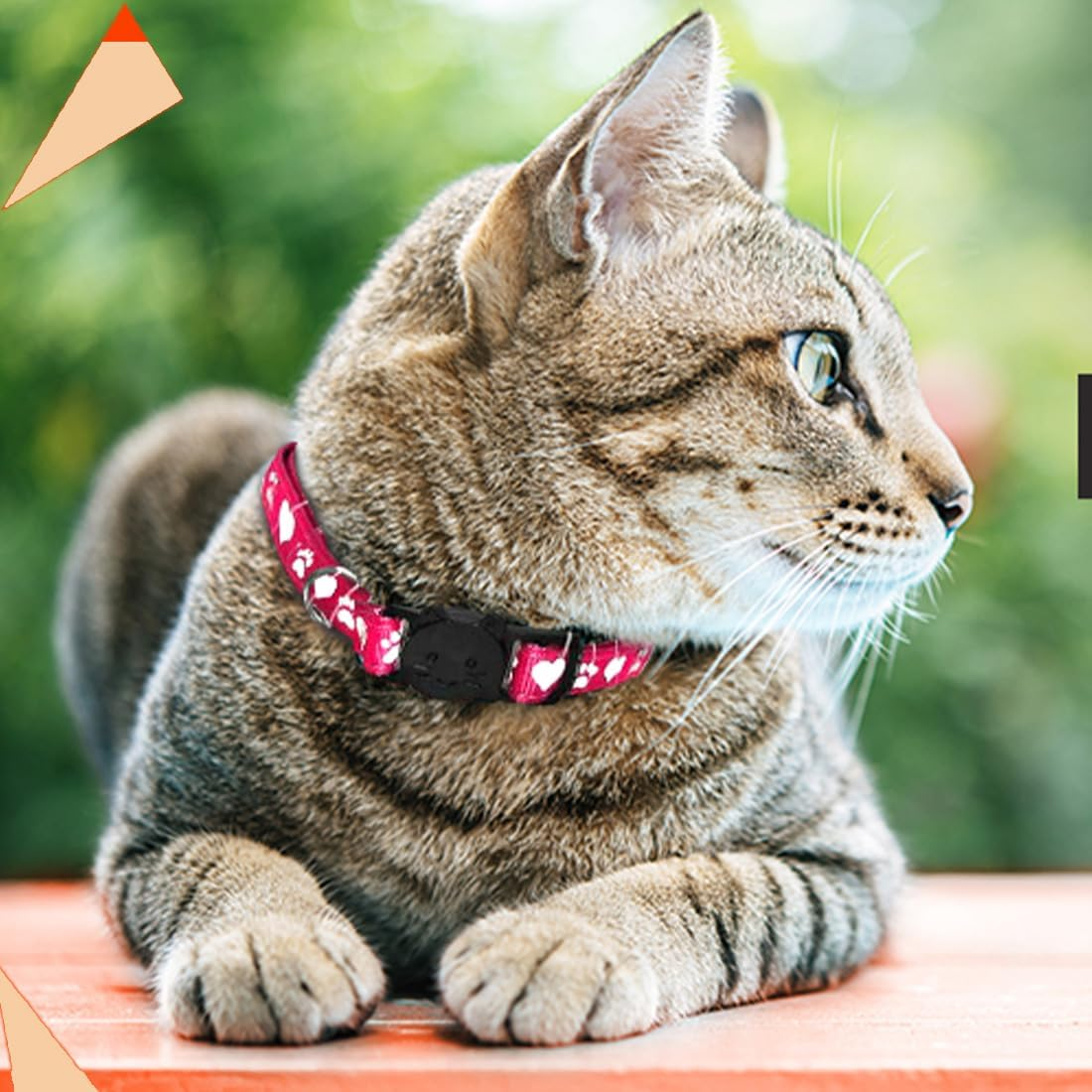 Weddhuis 2 Cat Collars, Adjustable Cat Collar with Bell and Safety Buckle, Suitable for All Domestic Cats (Pink+Red) image number 1