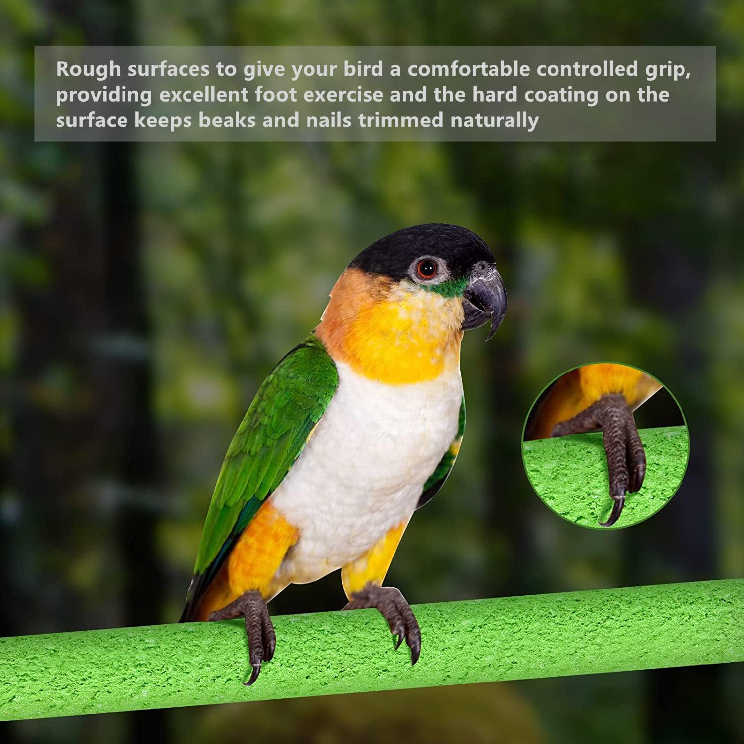 Norhogo Pack of 5 20 Cm Parrot Perches Natural Paw Bows Toy for Parrots Bird Chew Toy Comes with a Parrot Collar, Random Colour image number 4