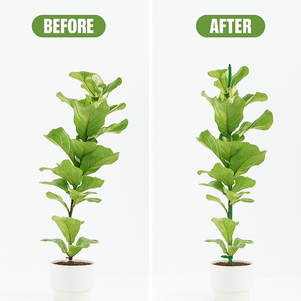 SYGELER Plant Stake Support,20 Pcs Plant Sticks,Adjustable Garden Stakes,Garden Green Bendable Single Stem Plant Support Stakes for Indoor and Outdoor Plants,Potted Plants,Flowers,Orchid image number 5