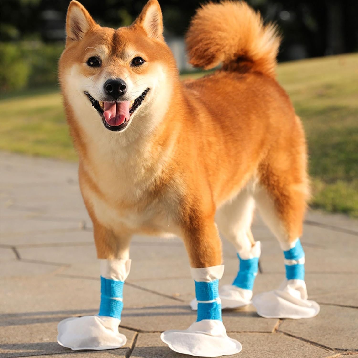 20 Disposable Dog Protection Shoes (15-40KG for Medium and Large Dogs), Pet Shoes with Adjustable Adhesive Straps, Dog Boots and Paws, Outdoor and Indoor Walking Feet for Dogs (L) image number 1