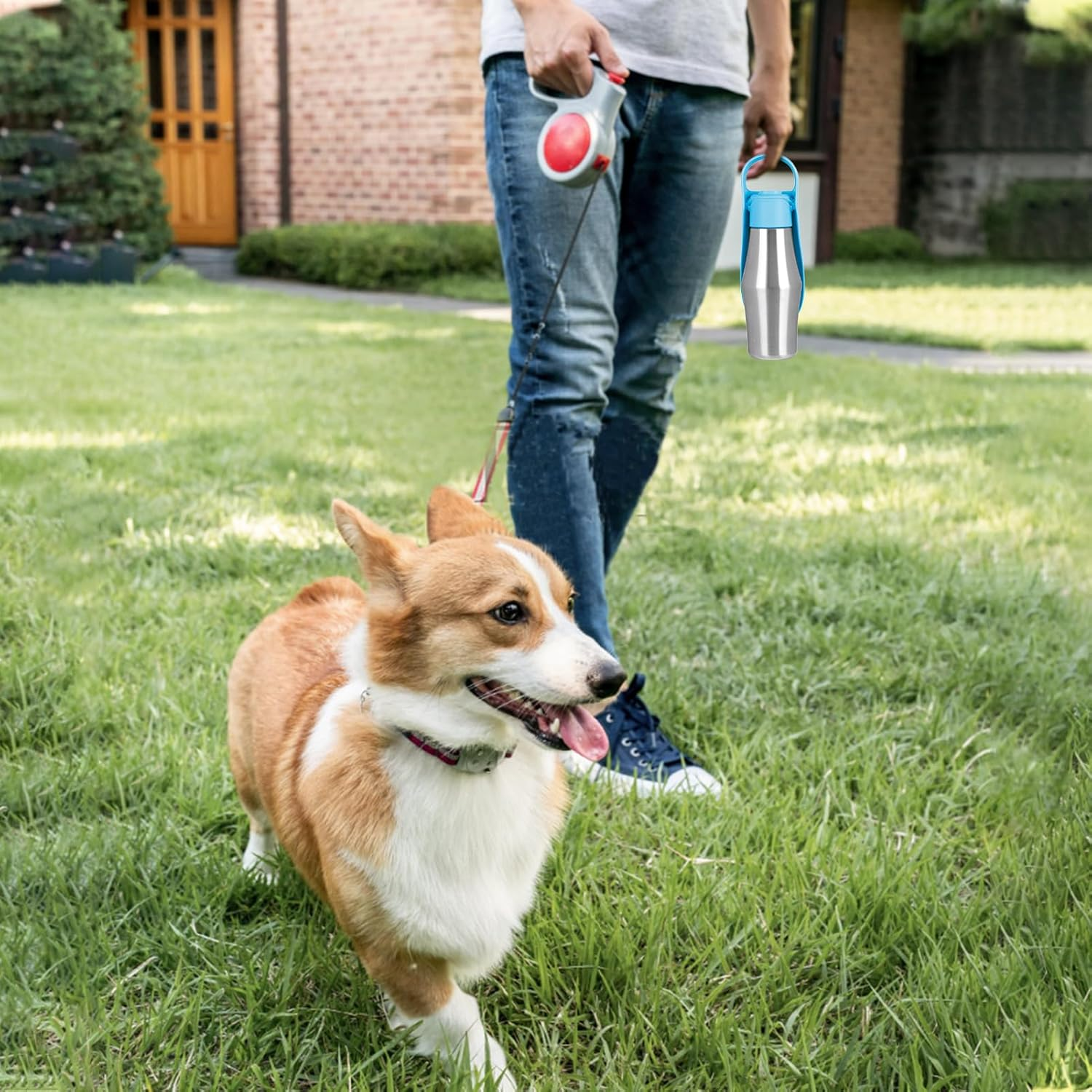 Water Bottle, Dog Bottle, Dog Water Dispenser-Stainless Steel Pet Travel Cup Outdoor Water Bottle Collapsible Dog Water Bowl Grey - Light Green image number 3
