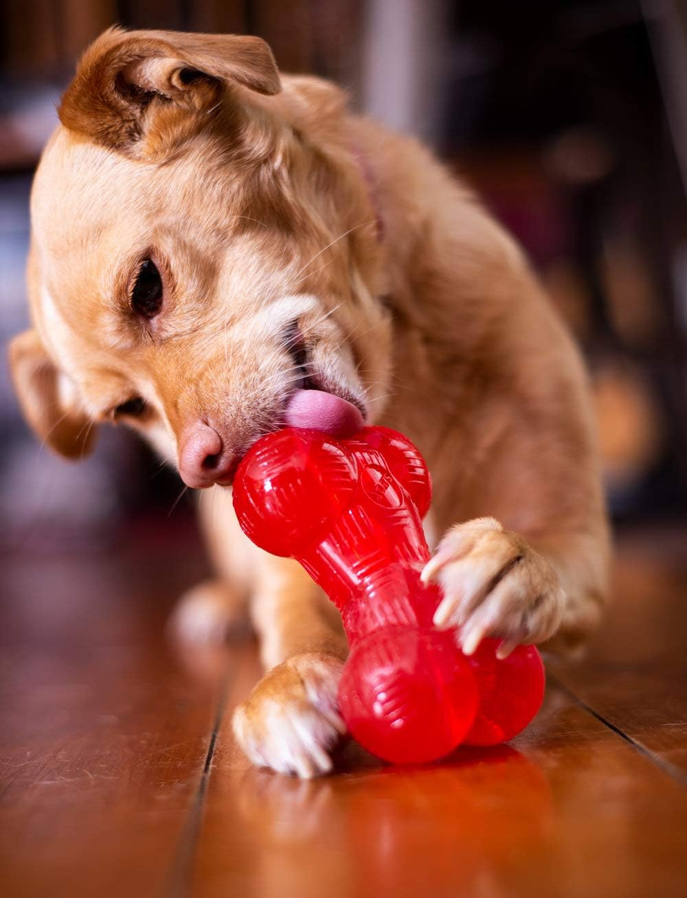 Ethical Pets Play Strong Virtually Indestructible Rubber Bone Dog Toy, 6.5-Inch