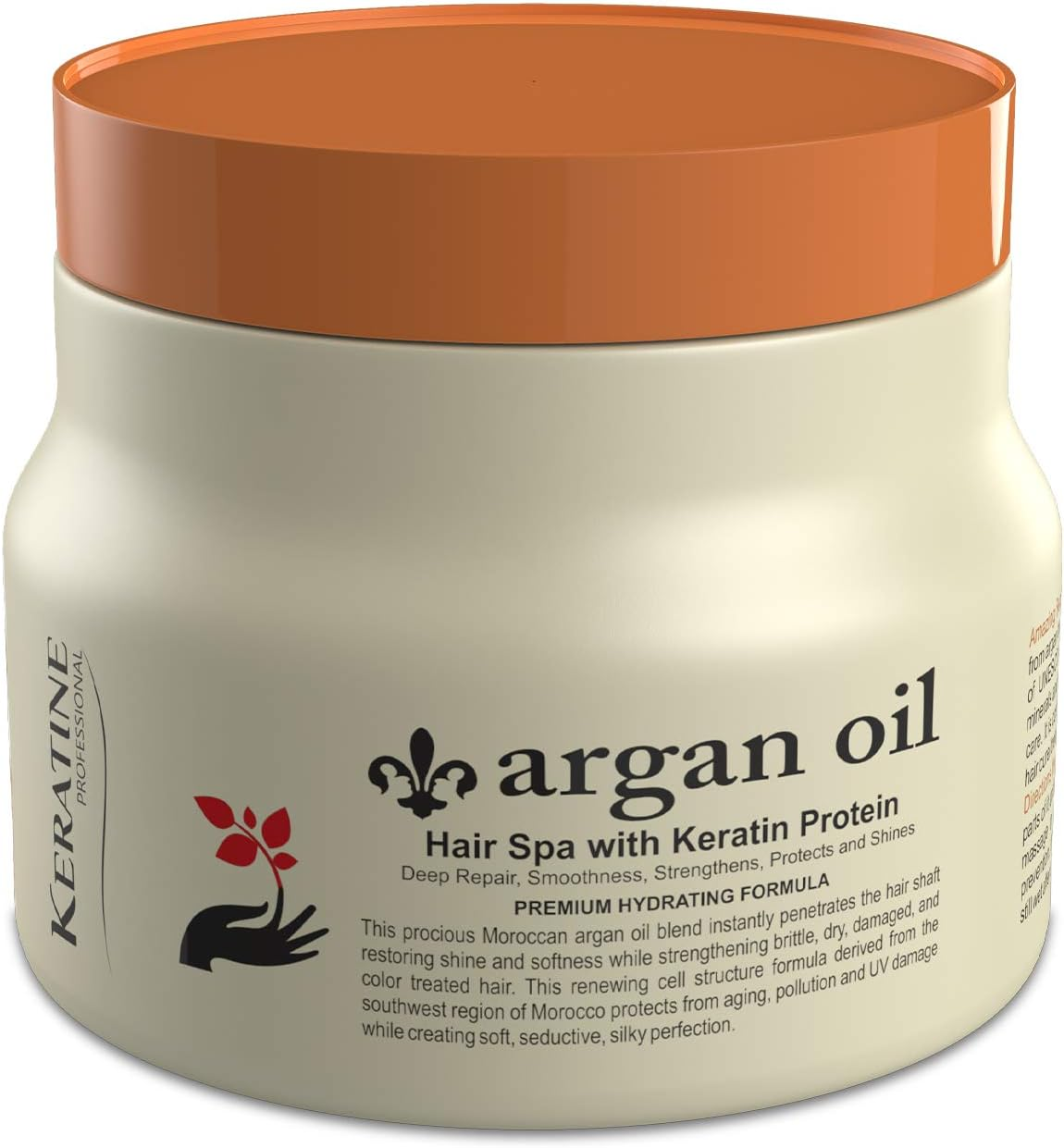 Keratine Professional Argan Oil Sulphate Free Hair Spa image number 2