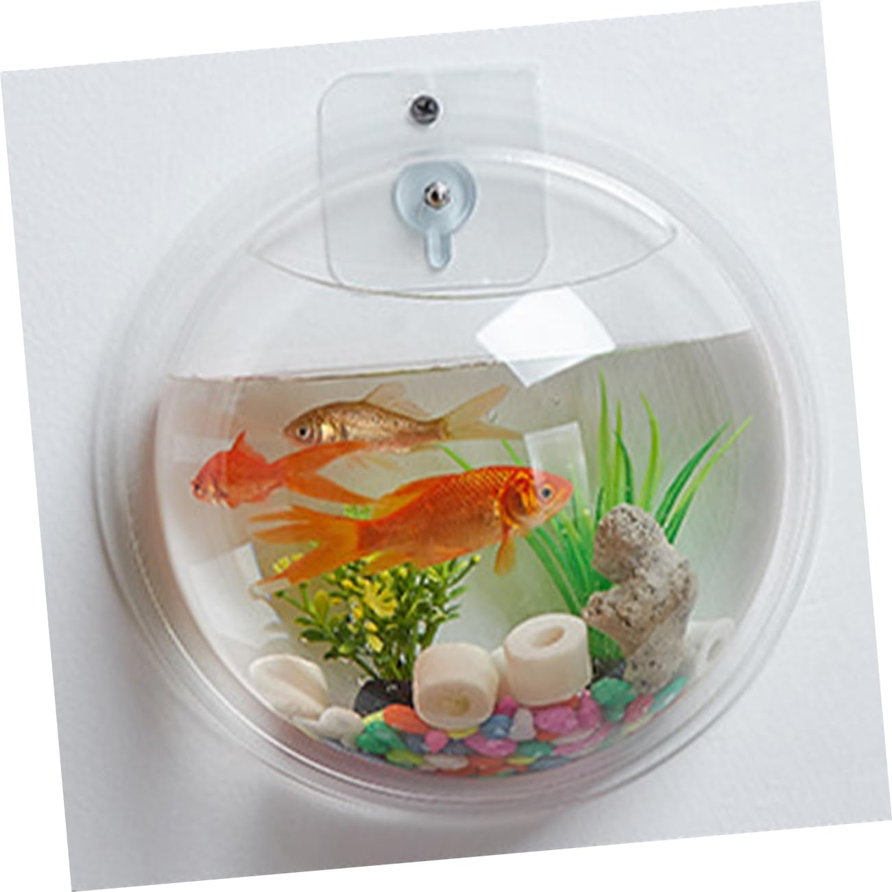 Wall Mounted Fish Bowl Flower Pot Clear Acrylic Bubble Vase for Aquatic Pets Decorative Plant Holder for Home Office Versatile Hanging Planter Comfortable Habitat for Fish