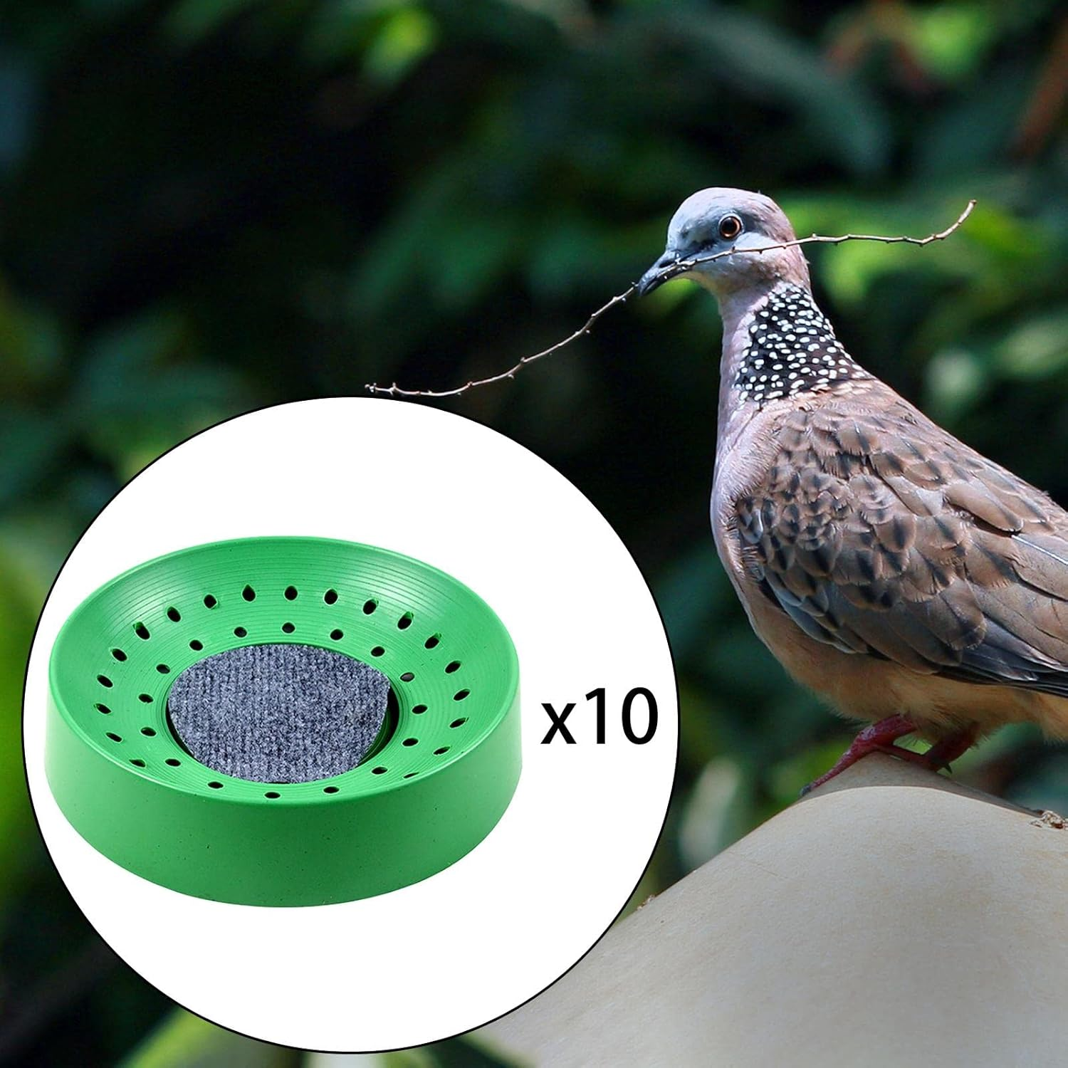 10X Plastic Pigeon Nest with Mat Nesting Bowl Pigeon Den for Quails image number 5
