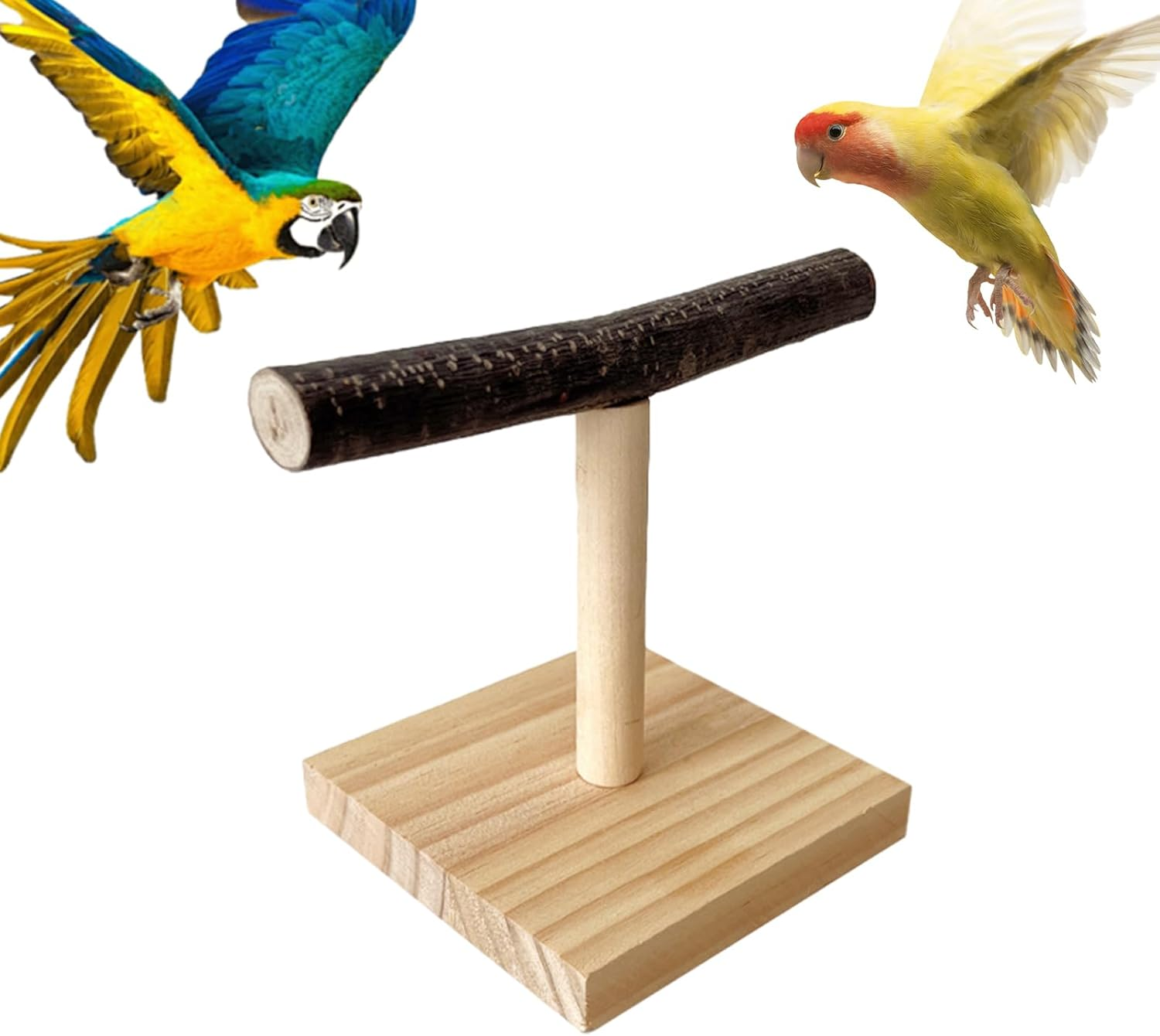Parrot T Perch - Resting Spot Portable Bird Trainiing Playground | Feeding Training Wooden Parroot Staand | Birrd Play Stand for Macaws Cockatiels African Greys