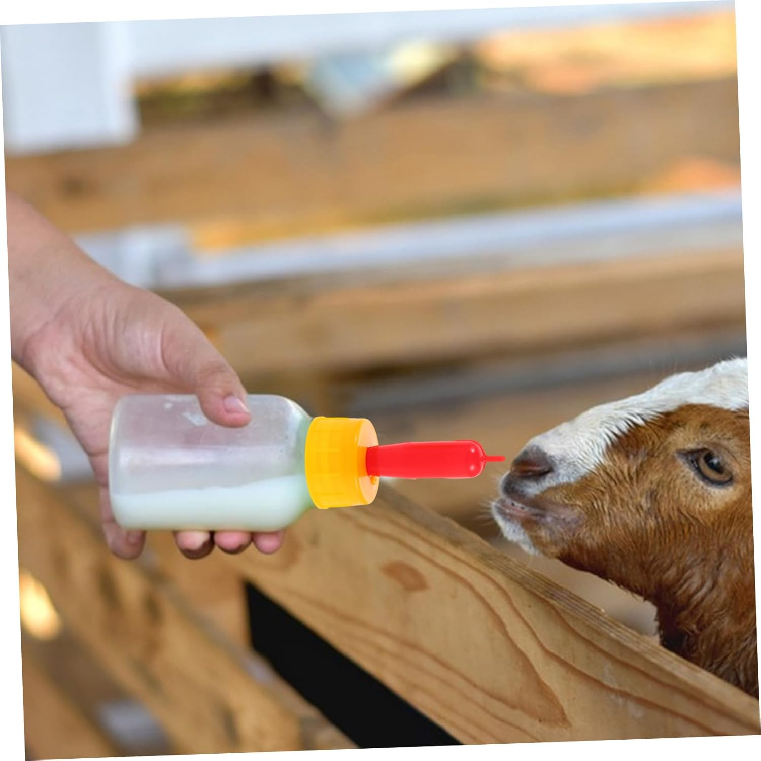 Kisangel 30Pcs Soft Silicone Goat Nipples for Feeding Goats and Lambs Small Animal Milk Drink Pacifiers Compatible with Multiple Bottles Safe Nursing Teats for Calves and Mammals image number 4