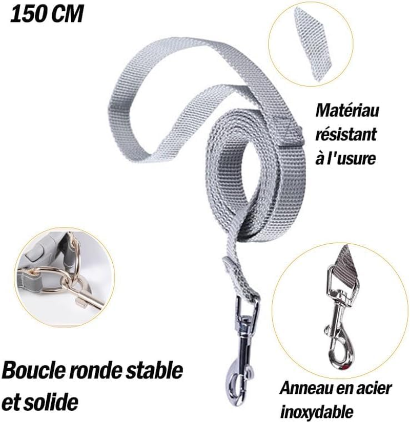 Dog Harness for Small Dogs, Puppy Harness, Cat Harness, Luminous with Lead, Curli Dog Harness, Puppy Accessories (Pink, M) image number 1