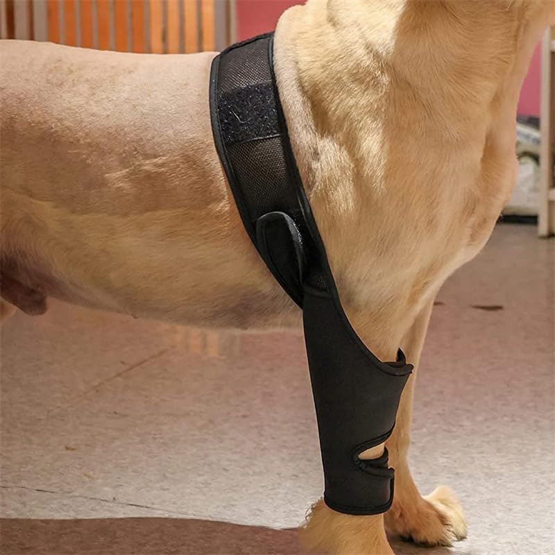 Dog Knee Brace for Torn ACL Hind Leg, Dog Leg Support Brace Breathable Dog Back Leg or Rear Leg Protector, Dog Leg Brace for Better Recovery Dog ACL Brace Hind Leg Adjustable (Black, XL) image number 5