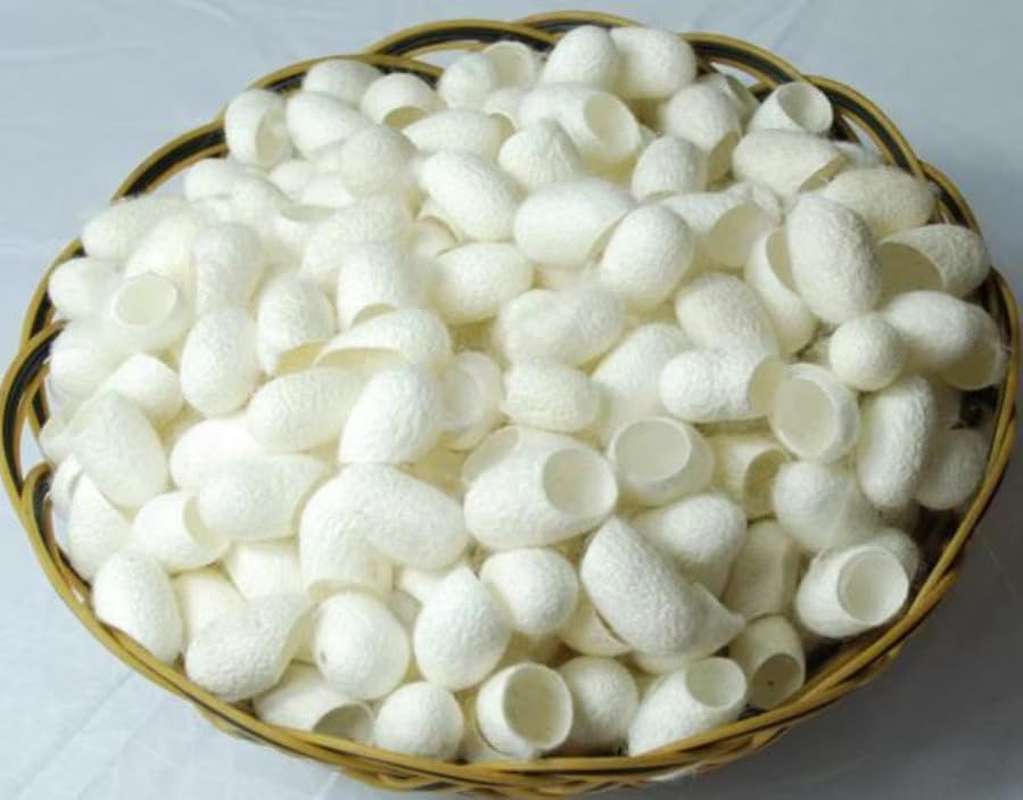 Knitsilk Mulberry Silk Cut Cocoons - Ideal for Spa, Facial Massage, and Beauty - Spinning and Crafts - White Bombyx Mori Cocoon (Pack of 1000 Pcs) image number 2