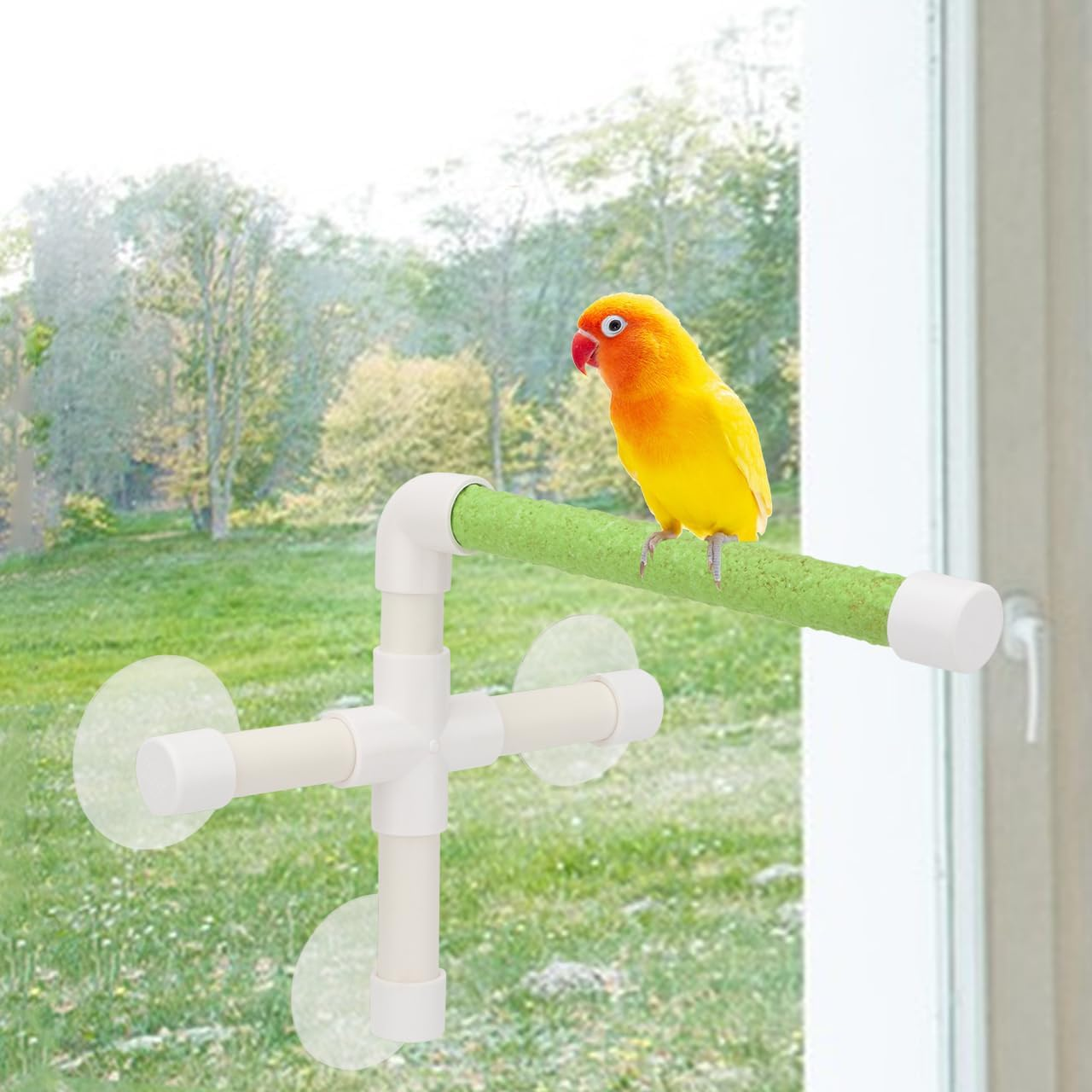 Hypeety Portable Suction Cup Bird Window and Shower Perch Toy for Bird Parrot Macaw Cockatoo African Greys Budgies Parakeet Bath Perch Toy image number 5