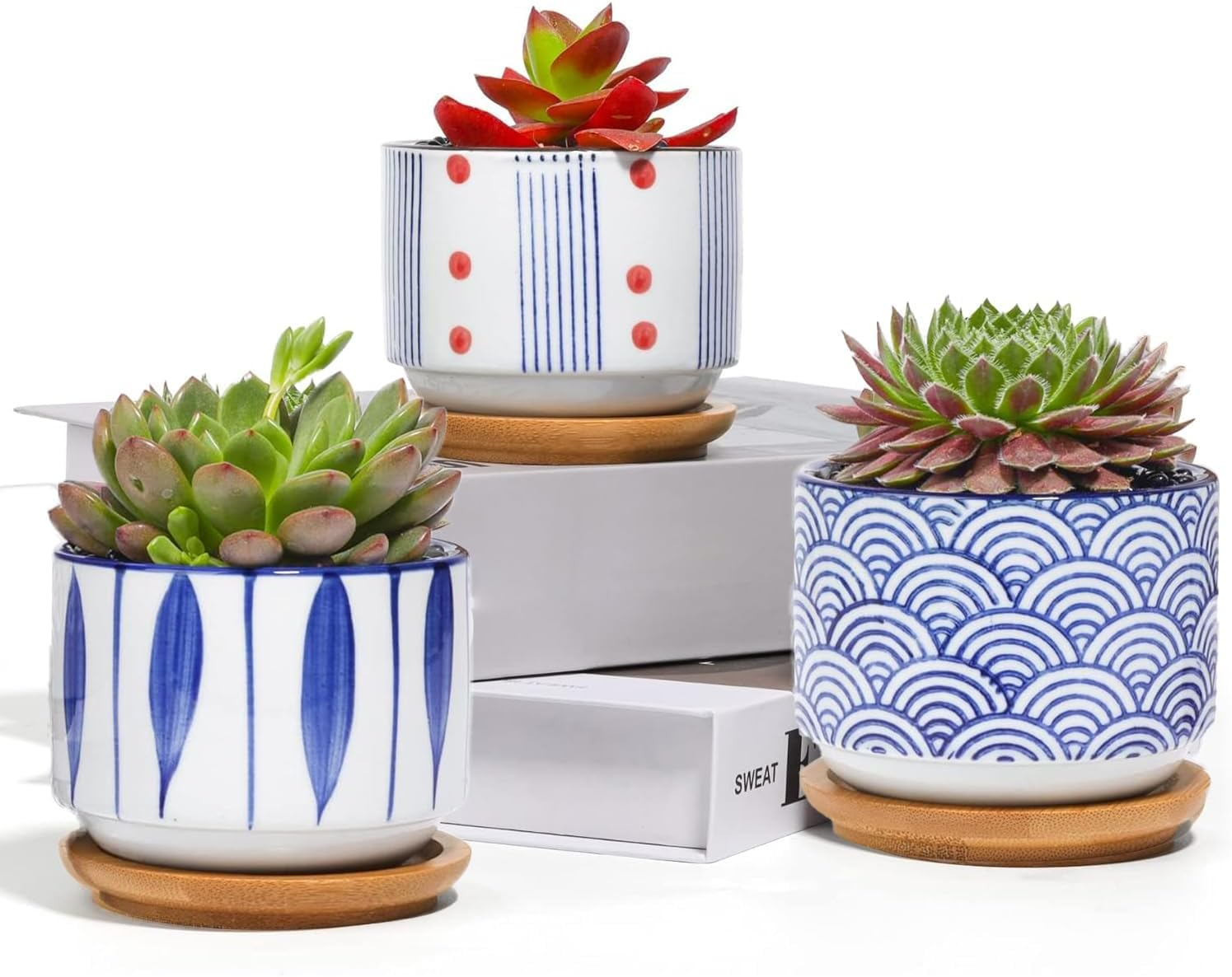 Succulent Planter Pots with Bamboo Tray Set of 3, 3 Inch Ceramic Pots for Plants, Japanese Style Planter, Plant Lover for Women Wife Mom Aunt, Cute Home Office Decoration image number 4