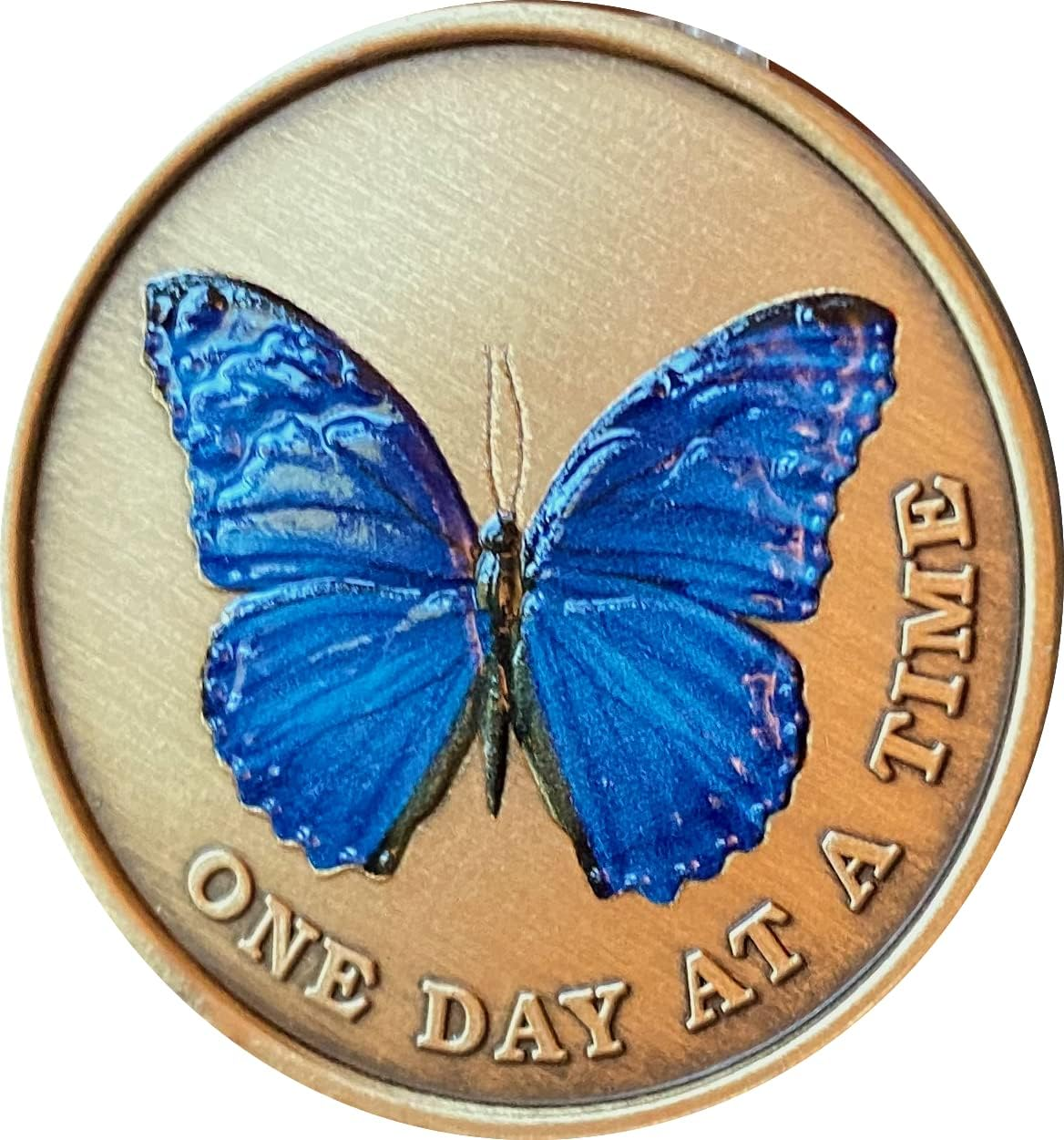 Blue Color Butterfly One Day at a Time Medallion Serenity Prayer Bronze Chip image number 2