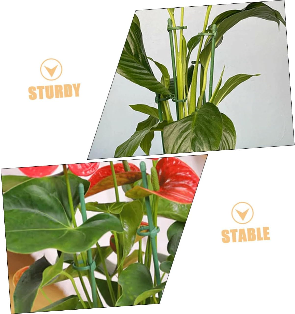 Toddmomy Plant Support Stakes for Garden Outdoor Use Single Stem Floral Flower Support Stake Connectors image number 3