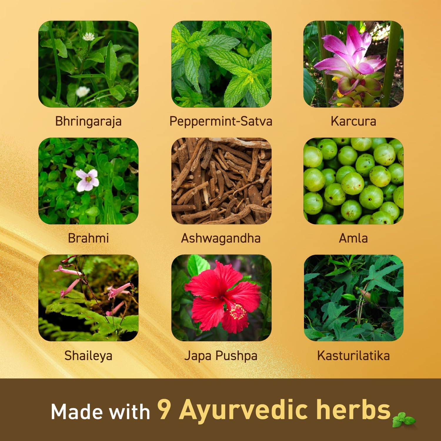 Navratna Gold Ayurvedic Oil |Non Sticky and Non Greasy |Mild Fragrance| Goodness of Almonds and 9 Ayurvedic Herbs |Relieves Body Aches, Sleeplessness, Headache and Fatigue, 300Ml