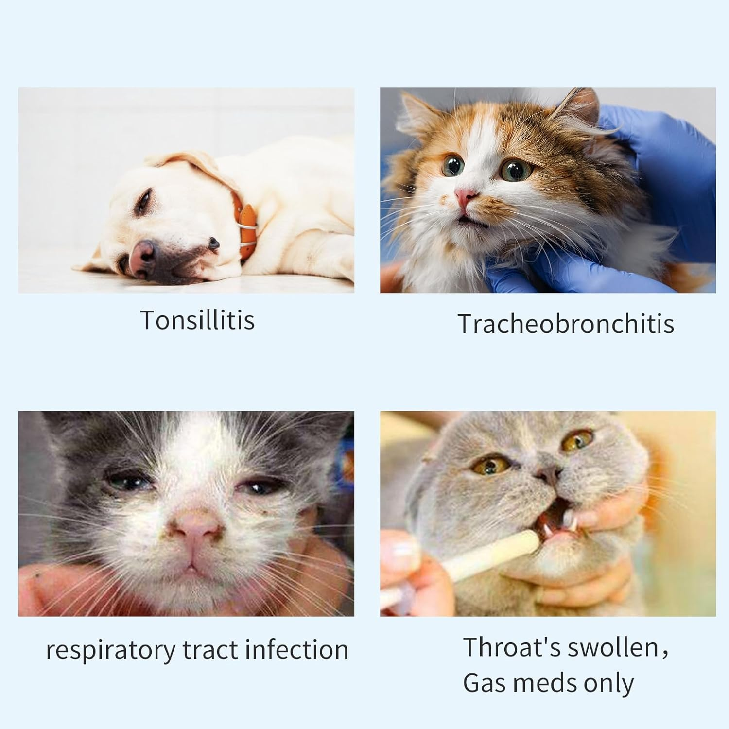 WHELPAW Cat Inhaler Spacer, Aerosol Chamber Inhaler Spacer for Cat'S Breathing & Delivering Medication, Come with 2 Size Masks image number 4