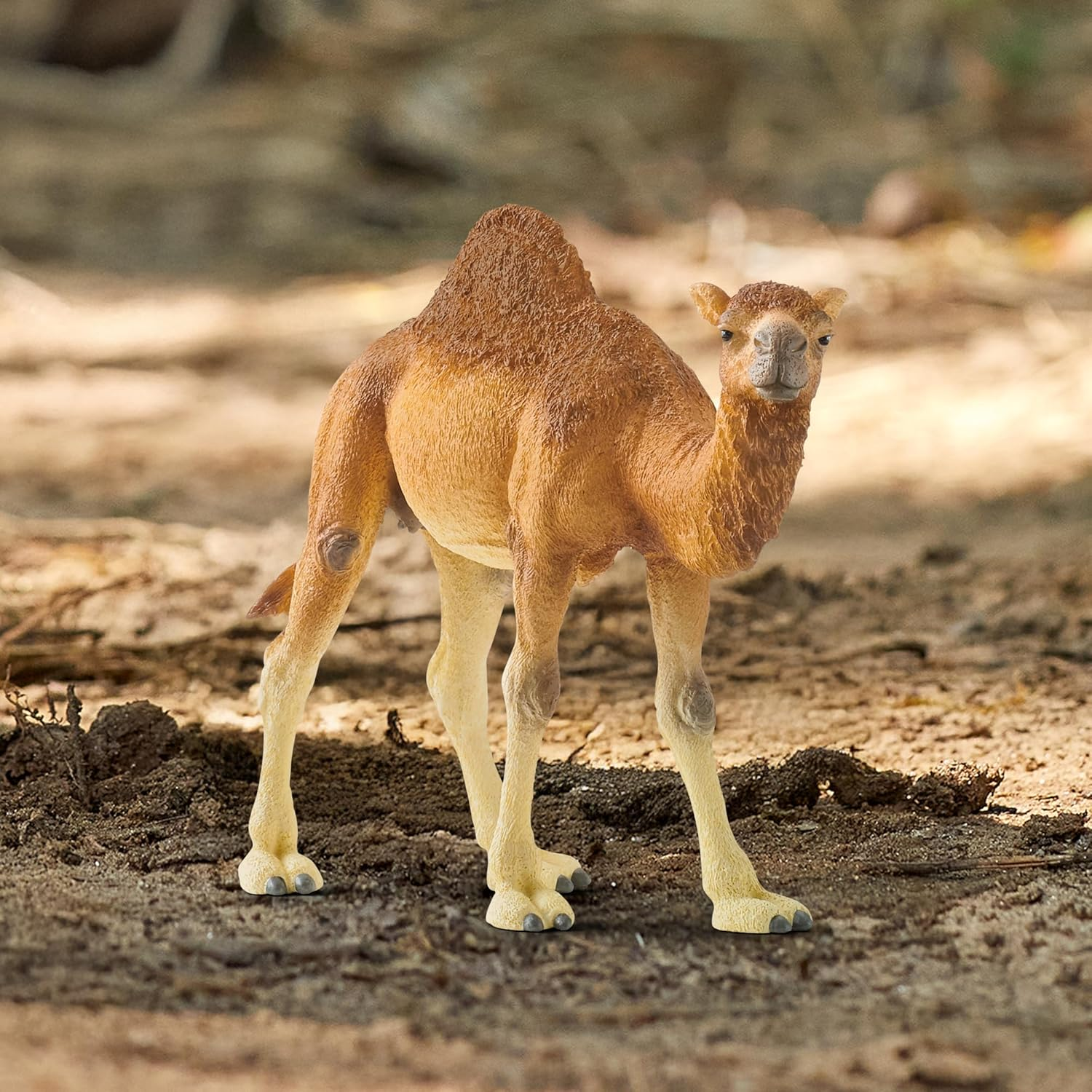 Schleich Wild Life Realistic Dromedary Camel Figurine - Authentic and Highly Detailed Wild Animal Toy, Durable for Education and Fun Play, Perfect for Boys and Girls, Ages 3+, Multicolor, 3.9 Inch