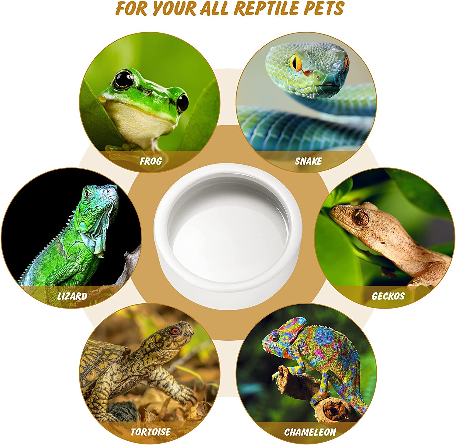Ceramic Reptile Bowl - Mealworms & Cricket Dish for Gecko, Bearded Dragon & Chameleon - Xl(5In) Anti-Escape Feeder image number 2