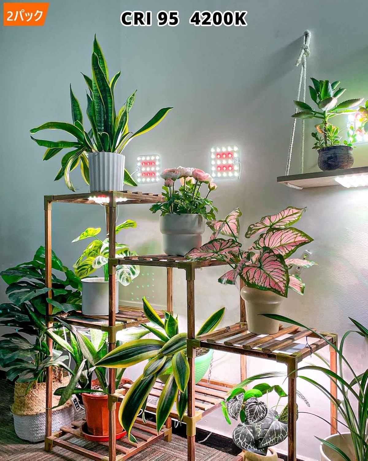 DOMMIA Grow Lights, 2-Pack Natural White Dimmable Grow Lights for Indoor Plants Full Spectrum with Optical Lens, LED Grow Light with Timer 6/12/16H, under Counter Plant Light with Adapters image number 3