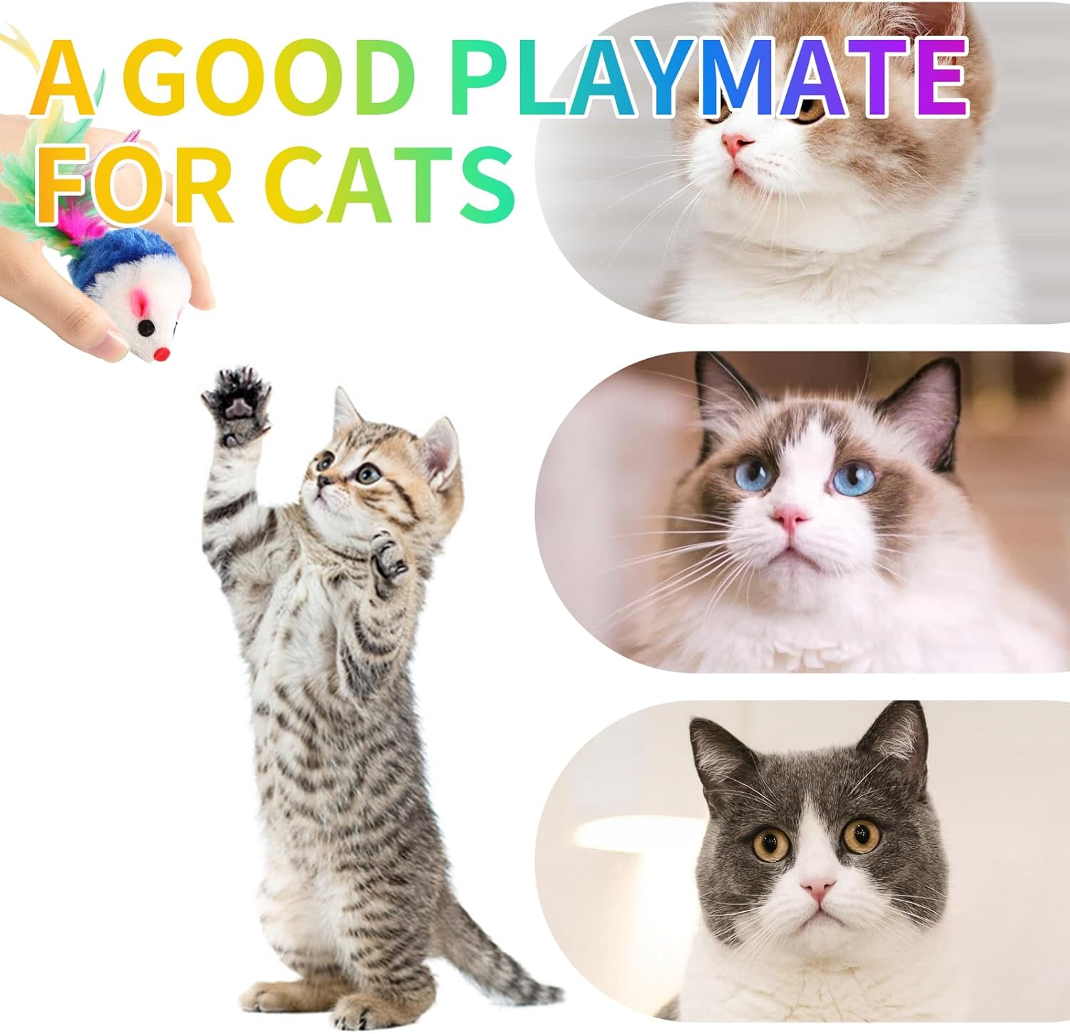 Pack of 20 Cat Toys, Mouse Toy for Cats, Mouse Cat Toy, Pet Toy with Feather Tail, Funny Games for Cats image number 6