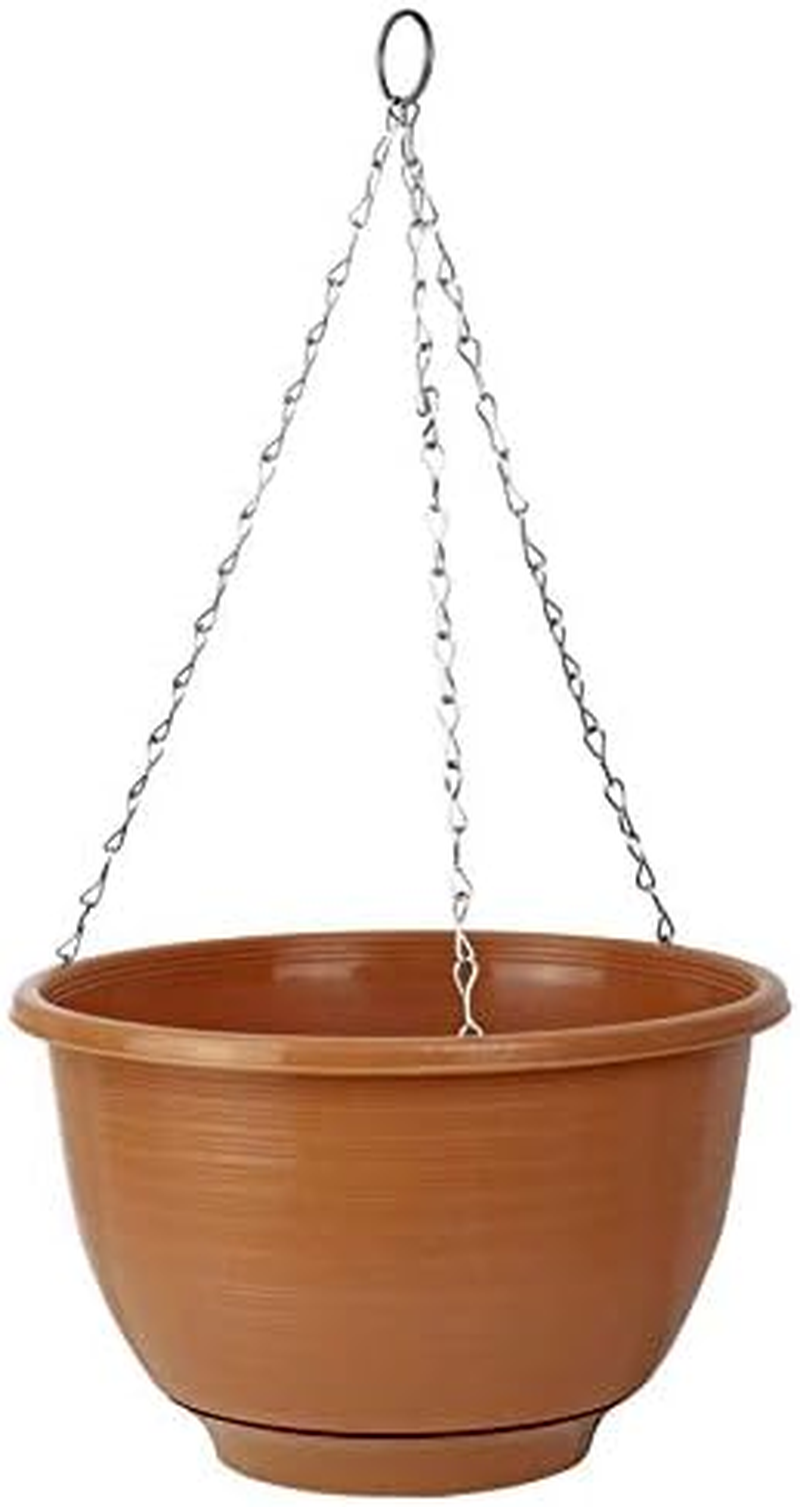 Homeleisure Reko Hanging Basket, Terracotta, 250 Mm Length