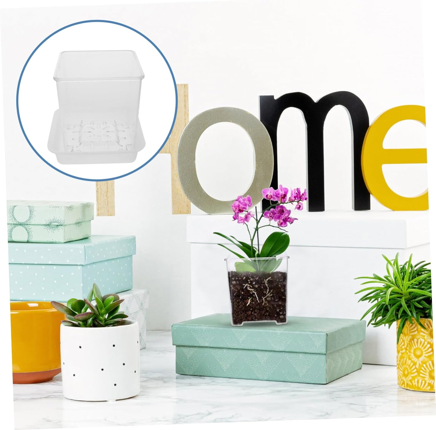 OFFSCH 5Pcs Orchid Pots Drainage Trays Breathable Slotted Plant Container for Outdoor Gardening Acrylic Flower Planter for Healthy Root Growth image number 4