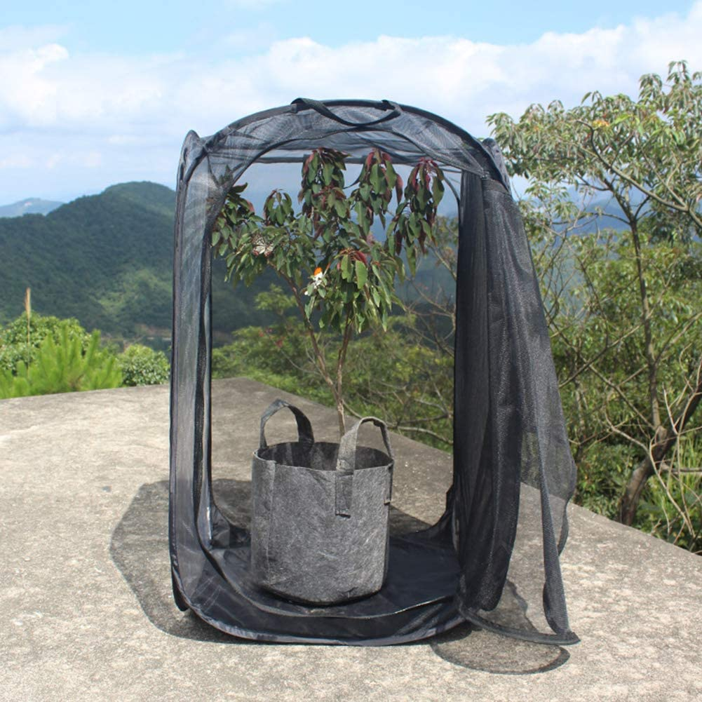 Insect Mesh Cage, Strong Visibility Durable Ventilated Insect Cage Foldable Reusable Smooth Zipper Large Space for Families for School Laboratory for Students image number 5
