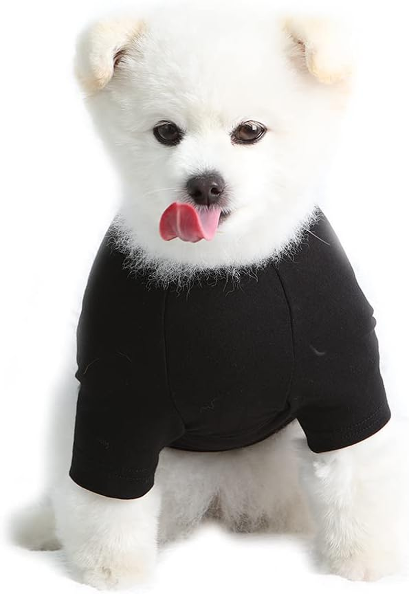 Lucky Petter Dog Shirt for Small Dogs Plain T-Shirts Soft Breathable Dog Cotton Shirt Pet Clothes (2X-Large, Navy)