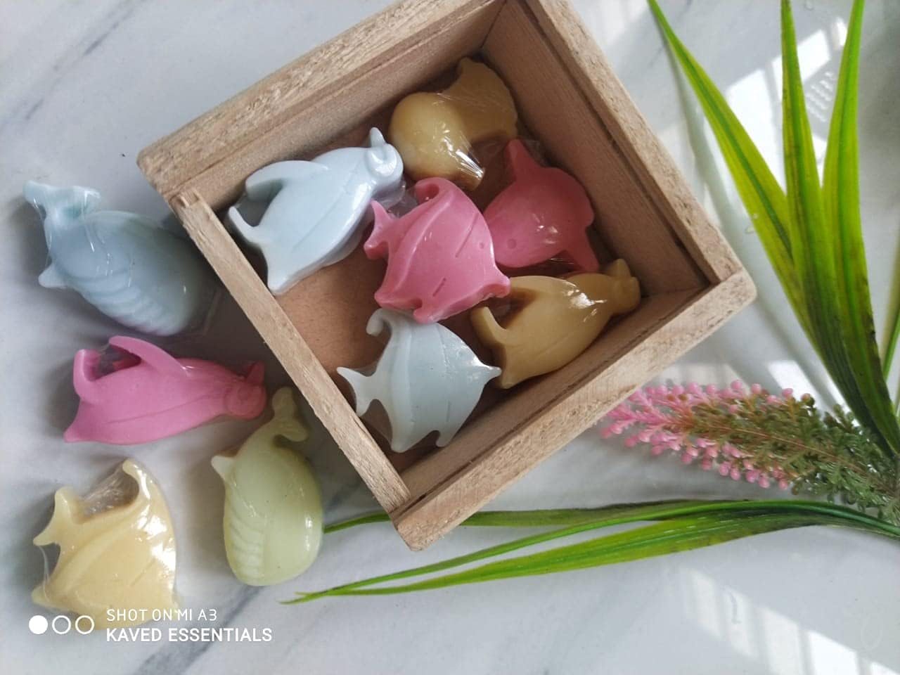 Kaved Essentials Mini Sea Animals Traveling Soap Set for Kids with Wooden Box 12-13 Pcs(100 Gm) Best for Birthday Gifts