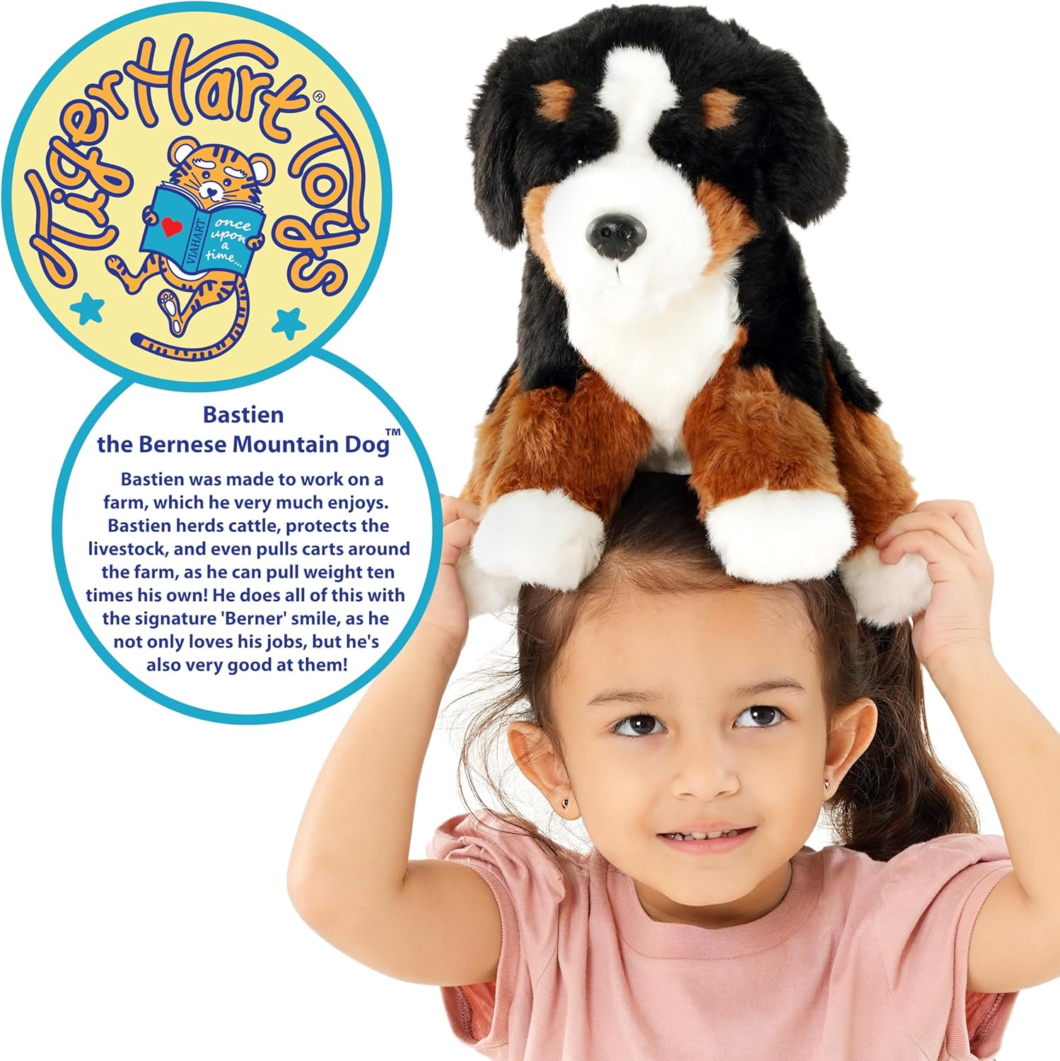 Bastien the Bernese Mountain Dog - 13 Inch Stuffed Animal Plush image number 1