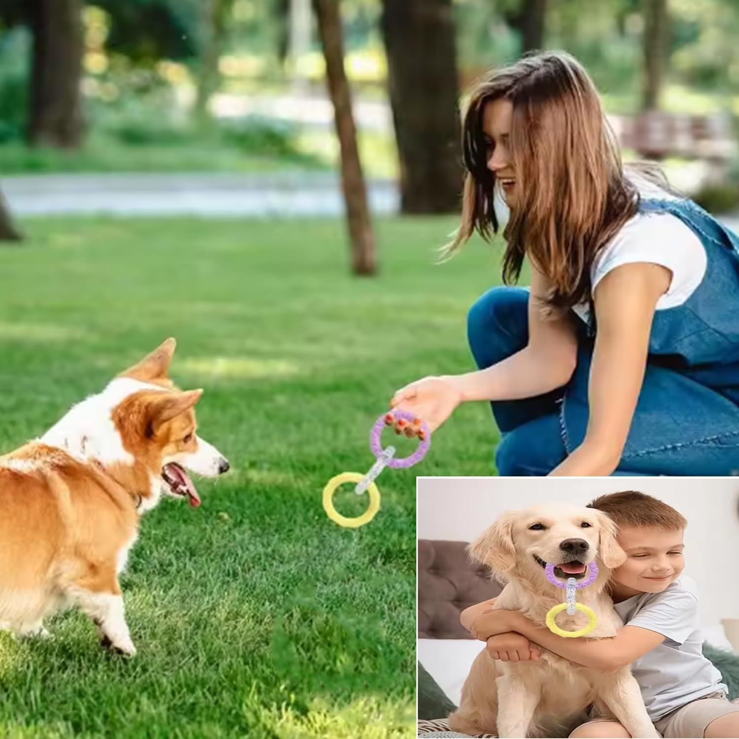 Roczential 3-Ring Dog Chew Toy, Indestructible Rubber Dog Toys, Puppy Teething Rings Toys for Small Medium Large Dogs (Yellow + Transparent + Purple) - Blue + Transparent + Purple image number 5