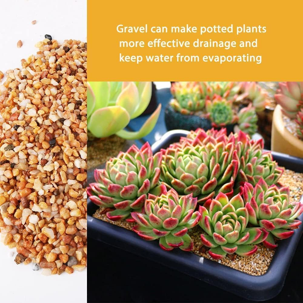 Cactus Pea Gravel Rocks,4-6Mm Pebbles for Indoor Plants, Natural Succulent Rock and River Rocks Decorative for Aquariums, Vases, Terrarium, Outdoor Gardening, Top Dressing for Potted Plants image number 2
