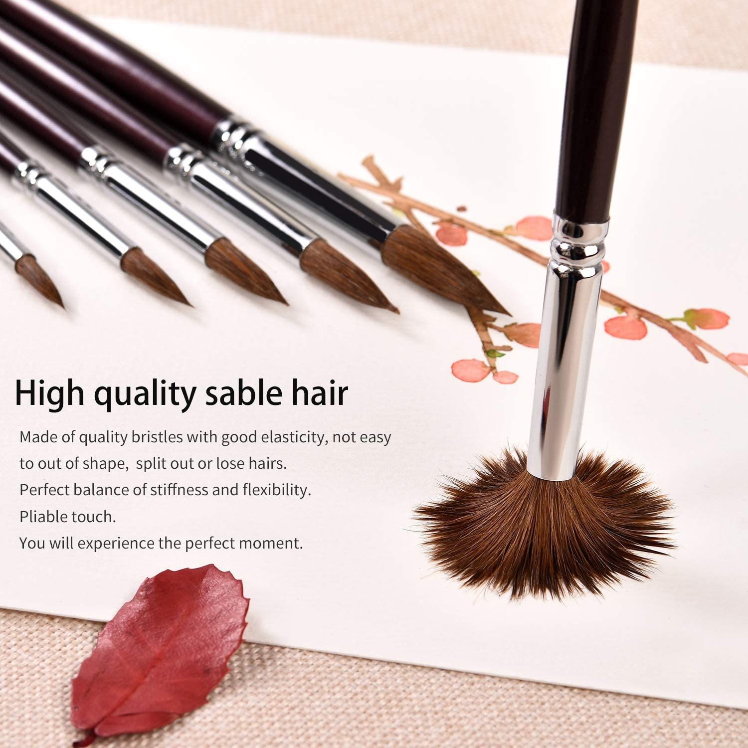 Sable Watercolour Brushes- 9Pcs Professional Detail to Mop round Paint Brush Set, Sable Hair Brush,Watercolour Brushes Perfect for Watercolours, Acrylics, Inks, Gouache, Oil Painting and Tempera image number 4
