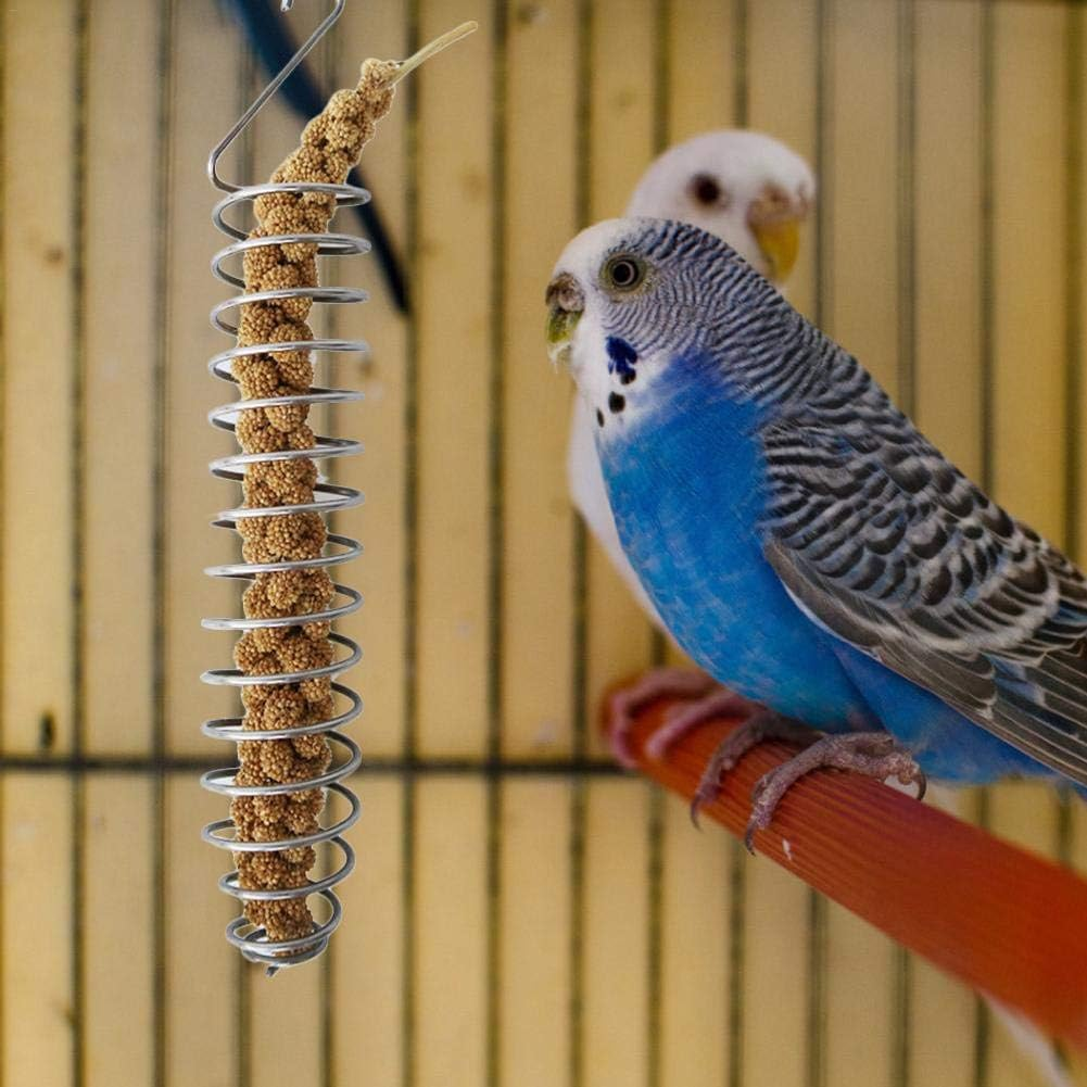 Parrot Food Fruits Basket, Stainless Steel Feeding Bird Cage Device Parrot Feeder Food Fruits Basket, Millet Sprays for Birds Fruit Vegetable Holder Bird Foraging Toy for Parakeet Cockatiel Conure image number 6