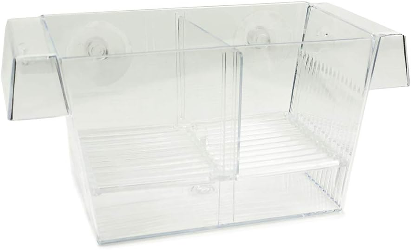 Aqua Care 2-In-1 Fish Hatchery &ndash; Floating Breeding Tank for Pregnant Fish, Isolation Tank for Newborn Fry, Injured or Aggressive Fish, Fish Tank, 210 X 95 X 100Mm,Clear