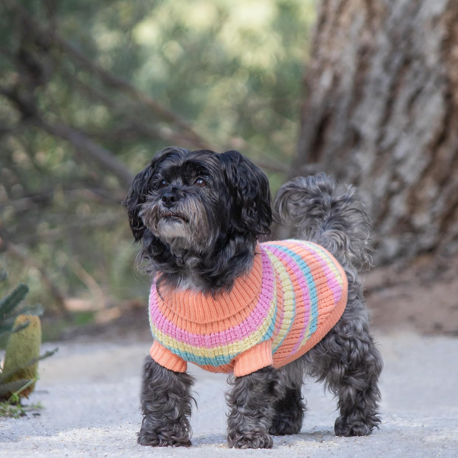 Huskimo Dog Jumper Soho Knit Sherbert 27Cm &ndash; Soft Dog Sweater, Stretch Fit, Machine Washable, Winter Dog Clothing, 6 Sizes image number 6