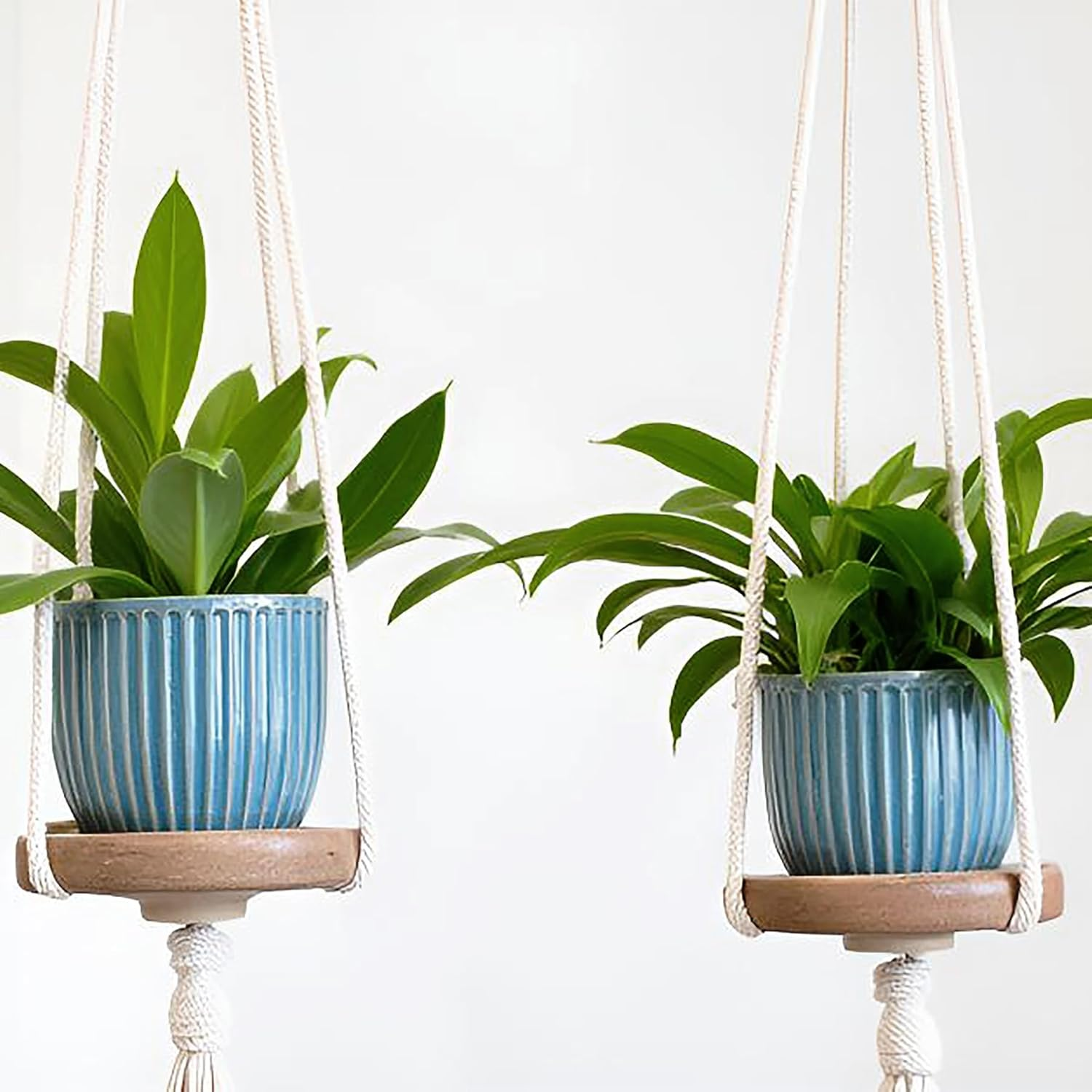 6 Inch/15 Cm Glaze Blue Ceramic Plant Pots with Drain Hole & Saucer, Flower Pots for Indoor/Outdoor Plants - Succulent, Snake Plant, Money Tree, Aloe Vera, Basil Planter image number 2