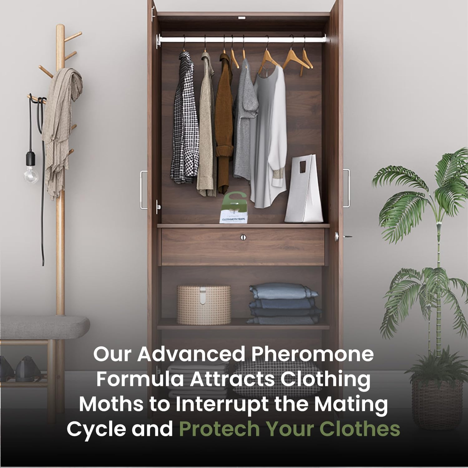 4 Pack Clothes Moth Traps | Child and Pet Safe | Protect Clothes, Sweaters, Wool, Carpet | Adhesive Moth Traps for Clothes image number 5