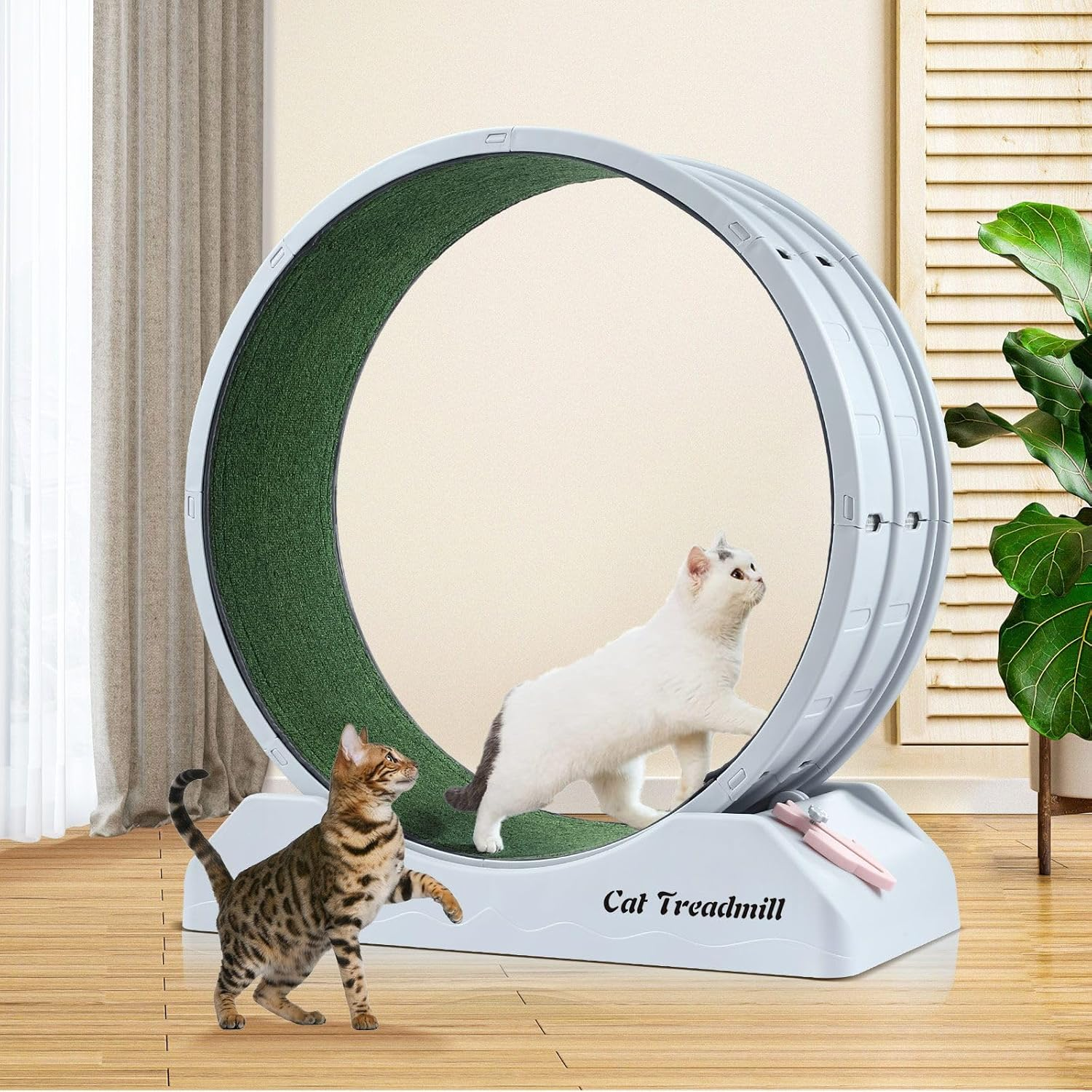 Pet Scene Cat Wheel Running Toy Exerciser Fitness Workout Treadmill Machine Indoor Feline Spinning Walking Training Circle Plastic,With 2PCS Run Surface image number 4